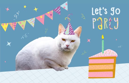 White Cat Birthday Party a single candle. High quality photo