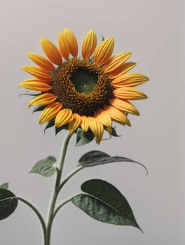 A single yellow sunflower with a green stem and leaves. The flower is the main focus of the image, and it is the only thing that is visible. The image has a simple and serene mood