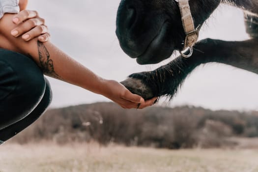 Cute happy young woman with horse. Rider female drives her horse in nature on evening sunset light background. Concept of outdoor riding, sports and recreation.