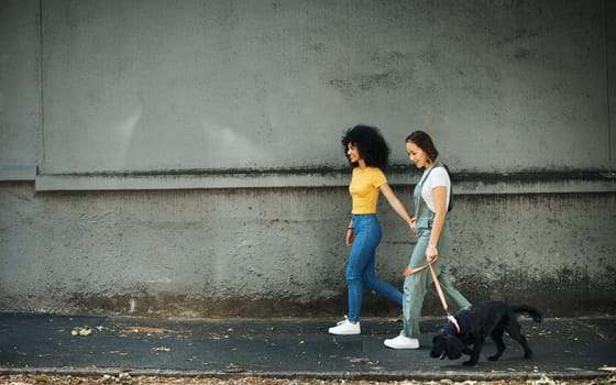 Walking, women and lesbian couple with dog in city, street or holding hands with pet on lead and wall, mockup or urban space. Lgbt, people and journey with animal for exercise, wellness or happiness.