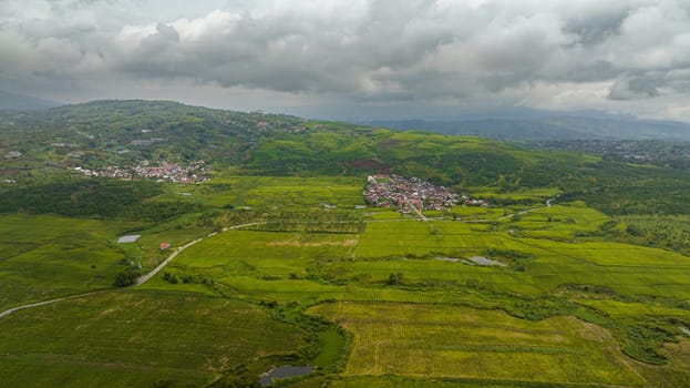 Aerial view of tea plantations on the hillsides in the mountains of Sumatra. Tea estate landscape. Kayu Aro, Indonesia.