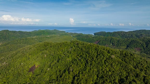 Coast of Borneo island and tropical vegetation and jungle. Sabah, Malaysia.