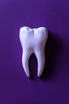 Snow white healthy tooth on solid background, symbolizing dentistry and oral health care