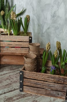 A fragment of the interior with a variety of indoor plants and plaster sculptures. Urban jungle concept. Biophilia design.