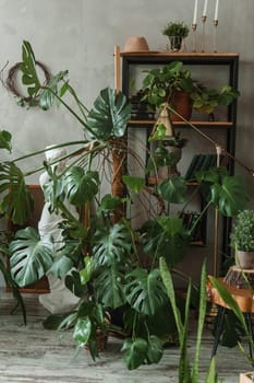 A fragment of the interior with a variety of indoor plants and plaster sculptures. Urban jungle concept. Biophilia design.