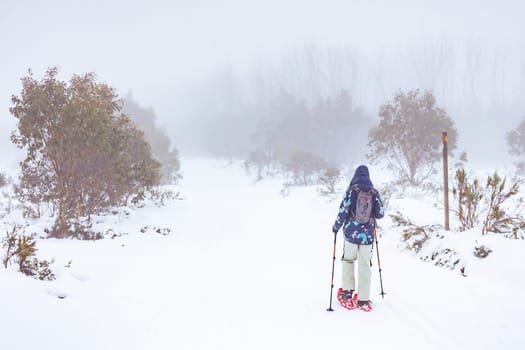 LAKE MOUNTAIN, AUSTRALIA - JULY 21: A family snowshoes together in the snow on a cold winter's day at Lake Mountain in Victoria, Australia on July 21st 2024