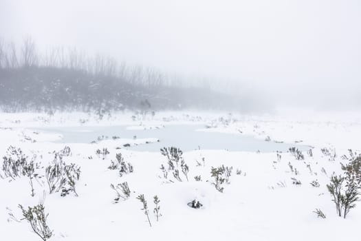 LAKE MOUNTAIN, AUSTRALIA - JULY 21: Snowy mountain landscape on a cold winter's day at Lake Mountain in Victoria, Australia on July 21st 2024