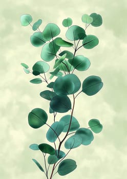 Eucalyptus botanical greenery leaves foliage nature plant branch artwork illustration drawing