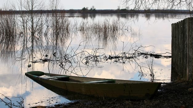 spring flood on the river, birch in the water, bushes and plants
