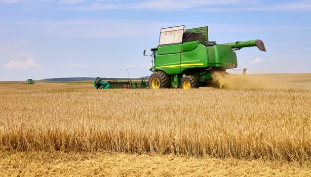 Combine to the mowing removes wheat on the field. Harvester removes the ripened wheat crop on the field