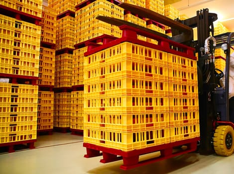production of cheese using robots. storage warehouse. loader transports trays of cheese.