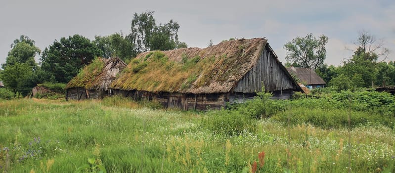 Eastern Europe, Republic of Belarus, Kachanovichi village, Pinsk district, Brest region. Old houses with thatched roofs.