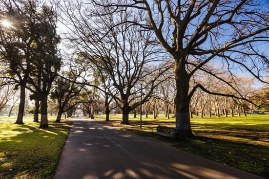 Carlton Gardens on a clear sunny winter's day in Melbourne Australia