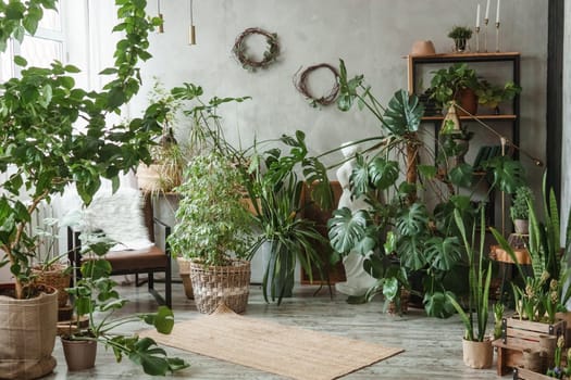A fragment of the interior with a variety of indoor plants and plaster sculptures. Urban jungle concept. Biophilia design.