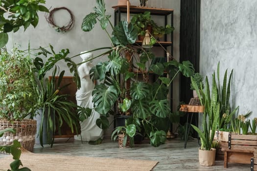 A fragment of the interior with a variety of indoor plants and plaster sculptures. Urban jungle concept. Biophilia design.