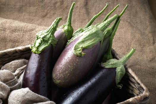 A close up still life photo of various types of freshly harvested eggplants sitting inside a wicker basket.