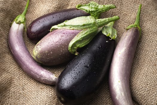 A still life photo of various types of freshly harvested eggplants laying out on a burlap bag.