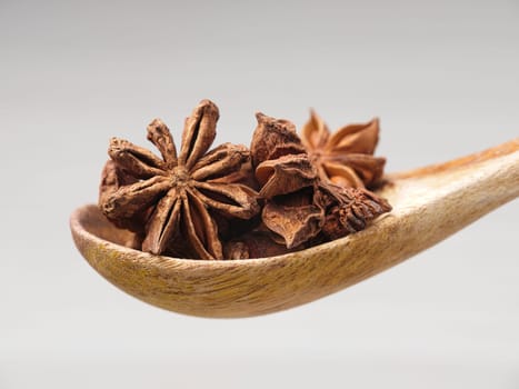 A close up photo of dried star anise piled on a wooden spoon