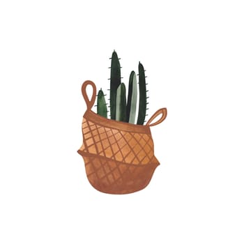 Cactus in a wicker basket. Plants for the home. Floriculture. Interior decoration. Isolated watercolor illustration on white background. Clipart