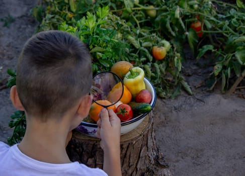 boy looks at fresh vegetables through a magnifying glass. Selective focus.