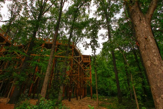 Canopy Walk, Blacklikc Metro park, Reynoldsburg, Ohio