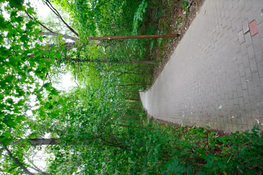 Views at Blacklick Metro Park, Reynoldsburg, Ohio