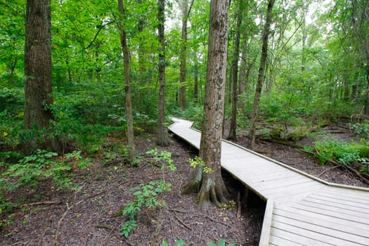 Views at Blacklick Metro Park, Reynoldsburg, Ohio