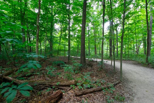 Views at Blacklick Metro Park, Reynoldsburg, Ohio