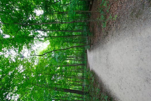 Views at Blacklick Metro Park, Reynoldsburg, Ohio
