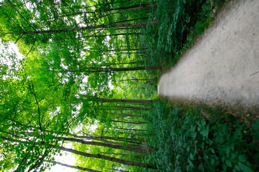 Views at Blacklick Metro Park, Reynoldsburg, Ohio