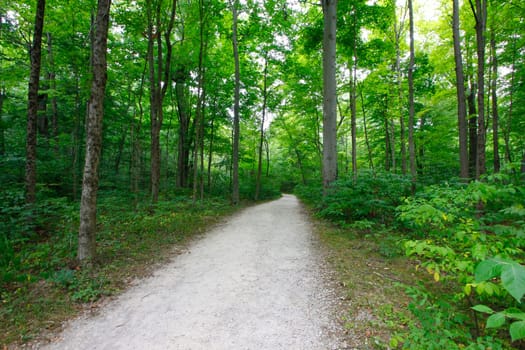 Views at Blacklick Metro Park, Reynoldsburg, Ohio