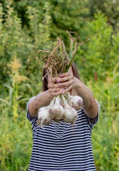 woman farmer holds onions in her hands. harvest