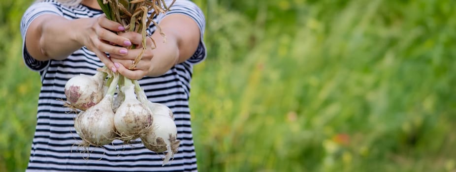 woman farmer holds onions in her hands. harvest