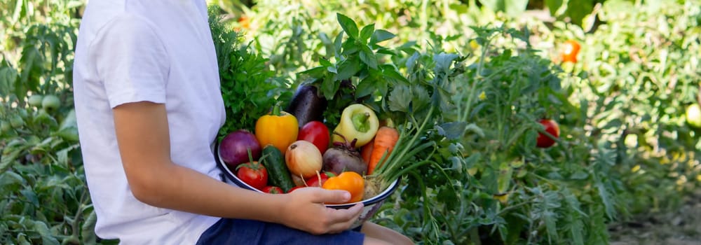 boy holds fresh vegetables in a bowl. Selective focus.