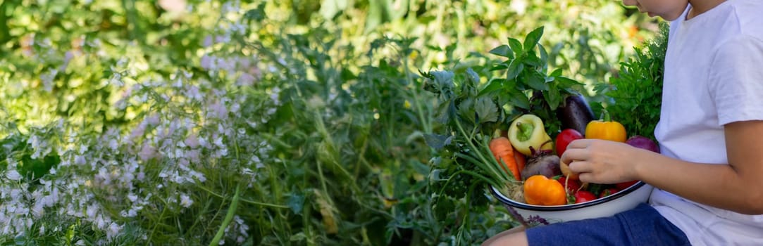 boy holds fresh vegetables in a bowl. Selective focus.