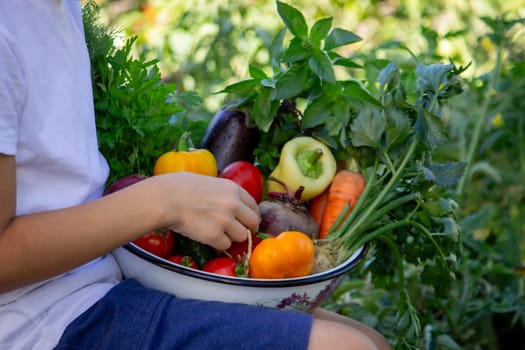 boy holds fresh vegetables in a bowl. Selective focus.
