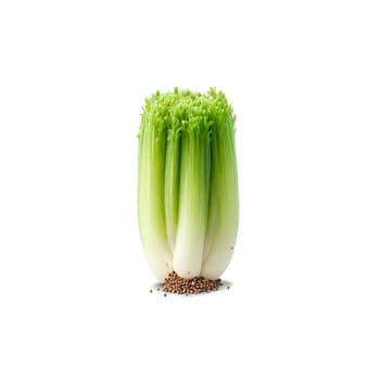 Celery seeds tiny size dark brown color uniform shape Food and culinary concept. Food isolated on transparent background.
