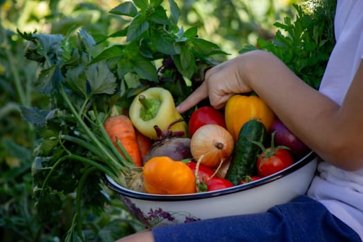 boy holds fresh vegetables in a bowl. Selective focus.