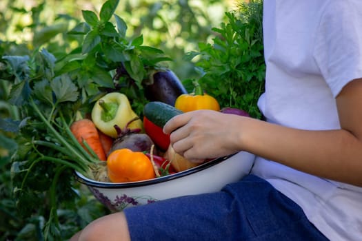 boy holds fresh vegetables in a bowl. Selective focus.