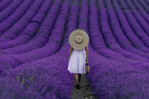 A woman wearing a straw hat walks through a field of purple flowers. The scene is serene and peaceful, with the woman's hat casting a shadow on the ground. The purple flowers are arranged in neat rows