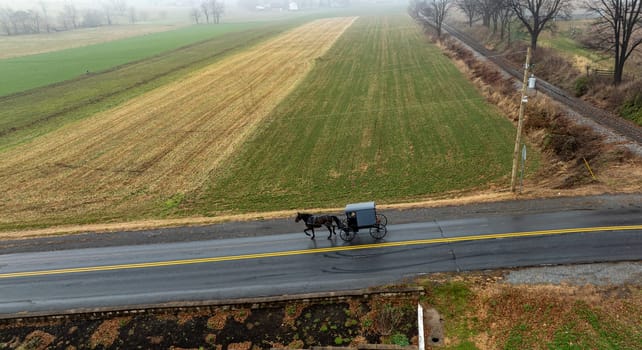 A horse-drawn Amish carriage moves steadily down a rural road surrounded by fields under a foggy sky.
