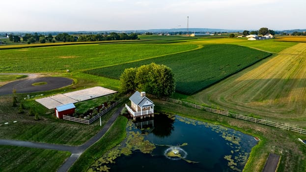 A tranquil rural landscape features a charming farmstead by a pond, surrounded by expansive green fields at sunset.