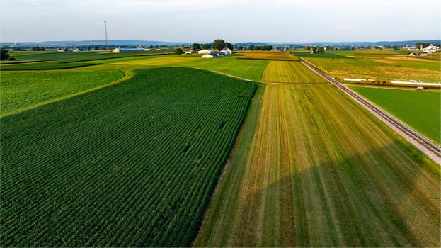 Vibrant green fields meet golden crops in a vast rural landscape under a clear sky at dusk.
