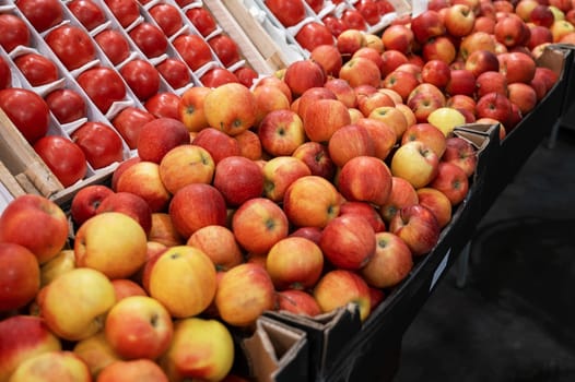 Assortment of fresh fruits at market