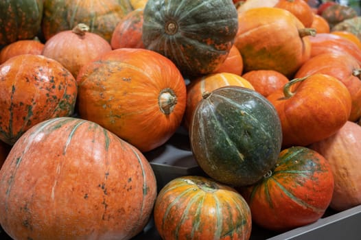 Orange pumpkins at farmer market.