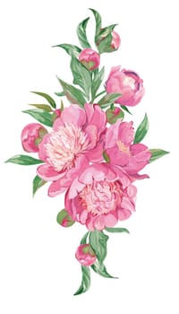 vertical Bouquet of pink peonies and sakura branches isolated on white background