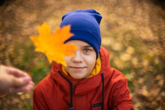 Autumn portrait of boy teen with maple leaves on fall nature background. Shallow depth of field