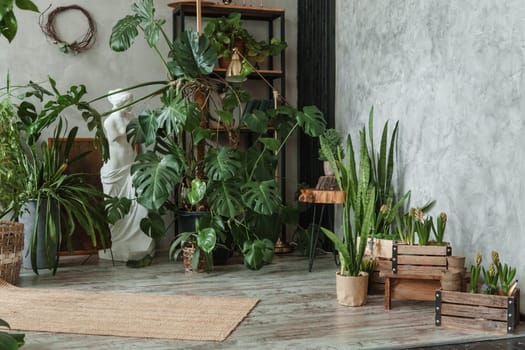 A fragment of the interior with a variety of indoor plants and plaster sculptures. Urban jungle concept. Biophilia design.