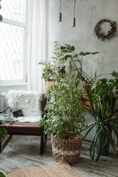 A fragment of the interior with a variety of indoor plants and plaster sculptures. Urban jungle concept. Biophilia design.
