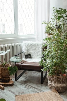 A fragment of the interior with a variety of indoor plants and plaster sculptures. Urban jungle concept. Biophilia design.